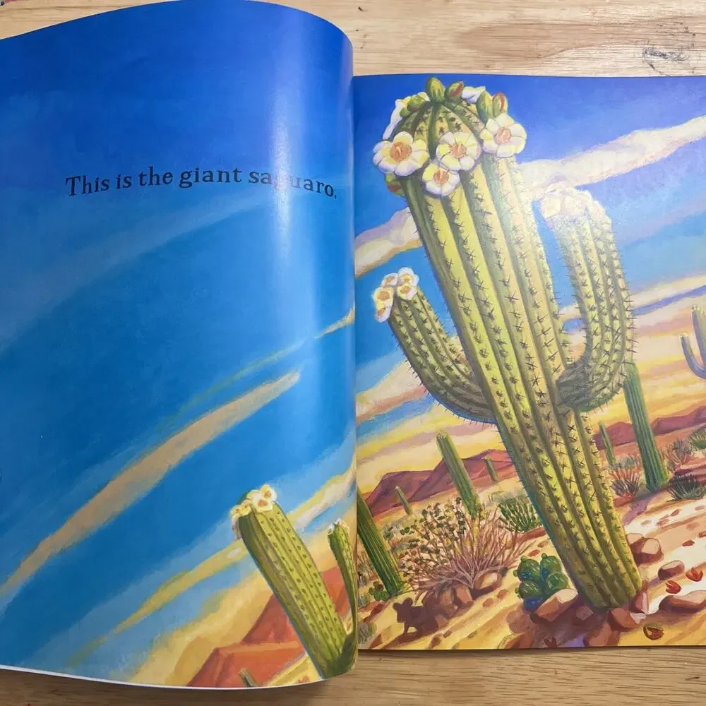 The Seed And the Giant Saguaro by Jennifer Ward Paperback Childrens Storybook